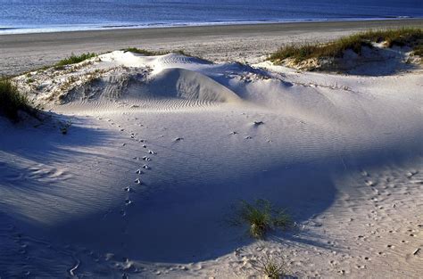 Sand Dunes And Beach Photograph By Sally Weigand Fine Art America
