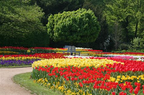 Die mitglieder veranstalten von 13 bis 17 uhr rund um den kugelahorn ein buntes programm für alle gartenfreunde. Saisonale Beete rund um den Kugelahorn | Botanischer ...