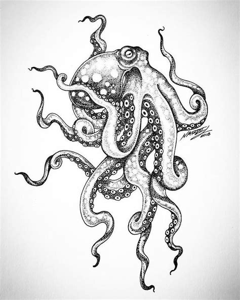 Octopus Drawing Octopus Tattoo Design Octopus Tattoos Octopus Art