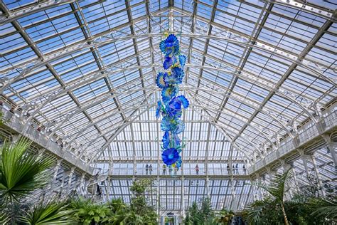 Chihuly Reflections On Nature Brings Stunning Glass Artwork To Kew