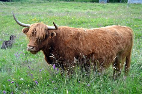 Maybe you would like to learn more about one of these? Trois jours dans le Parc Régional du Morvan - Jolis Voyages