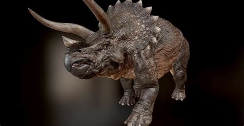 Jirí adamec was born on march 9, 1948 in dvur králové nad labem, czechoslovakia. ArtStation - Triceratops, Jiri Adamec
