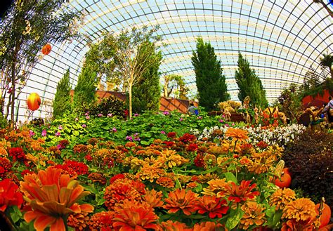 In the daytime, you can visit its two greenhouses to enjoy their huge variety of plants; Flower Dome at Gardens By The Bay - Singapore | The Cool ...