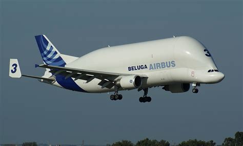 Explore Future Technology Airbus Beluga