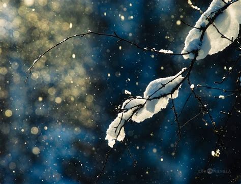 Magical Winter Photography Joni Niemelä