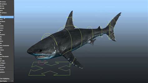 3d Shark Rig Maya Youtube