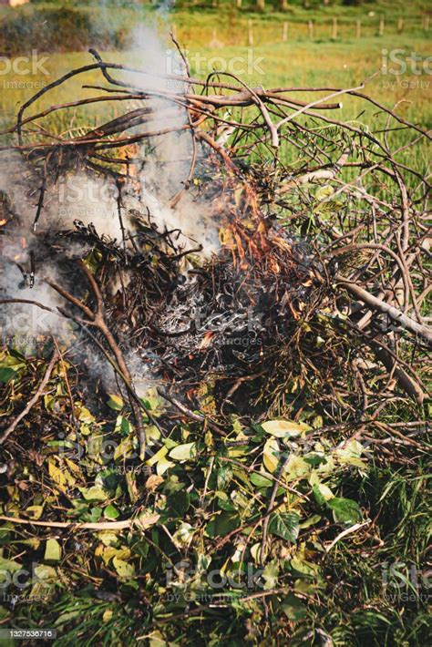 Pile Of Dry Tree Branches Fallen Leaves And Cut Grass Burning In