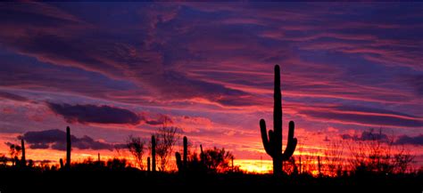 You and your group enjoy transportation to the launch location, which varies your balloon soars high above the sonoran desert for awesome views of the landscape and sunset. Phoenix, AZ in Arizona | **elemental | Pinterest | Sunset pictures, Arizona and Surprise arizona