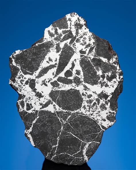 Silicated Campo Del Cielo Meteorite End Piece Iron Coarse Octahedrite