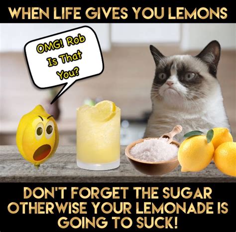 grumpy cat says don t forget the sugar for your lemonade 🍋 grumpy cat grumpy cat humor grumpy