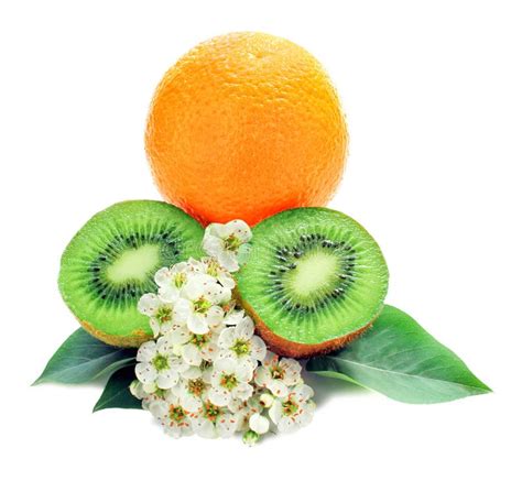 Ripe Tropical Fruits Isolated On White Background Half Of Kiwi Orange