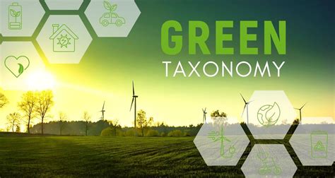 Eu Taxonomy Tags Sustainability And Puts An End To Greenwashing Recheck