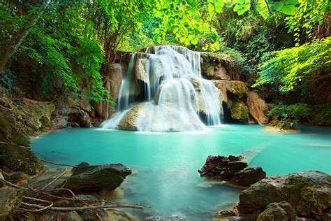 Tropical Rainforest Waterfall Stock Photos Pictures And Royalty Free