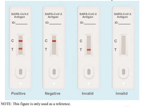 Rapid Antigen Test Results Goimages Online