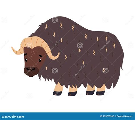 Cute Musk Ox As Arctic Animal With Horns And Thick Shaggy Hairy Coat