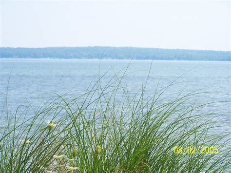 Hubbard Lake Mi View From The West Shore Photo Picture Image