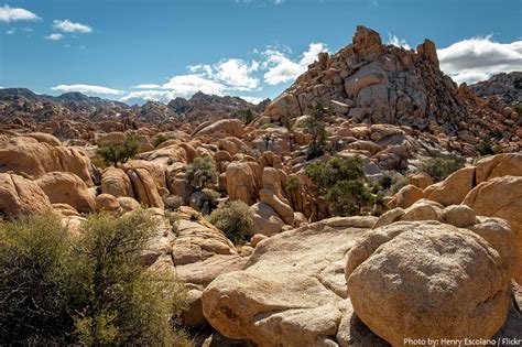 Interesting Facts About Joshua Tree National Park Just Fun Facts