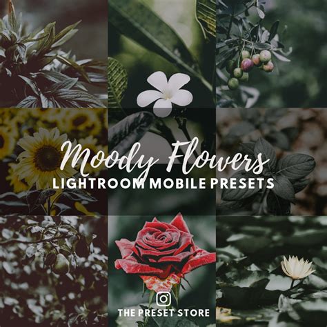 These presets really gonna give your images beautiful dark, faded & saturated effects making your images ready to tell a story. FREE Dark & Moody Lightroom Presets by Northlandscapes ...