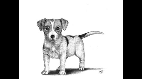 Puppy print dachshund pet gift dog portrait unique dog | etsy. Sketch Timelapse: Dog - YouTube