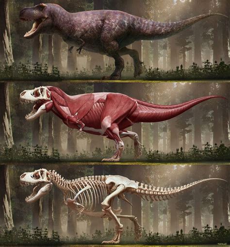 Tyrannosaurus Rex 2018 By Arvalis Dinosaur Drawing Dinosaur Art