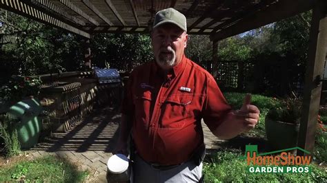 Gardeners encounter a variety of pests while there are a variety of methods to get rid of the grubs in your garden. What do I do to get rid of web worms and grubs in my lawn ...