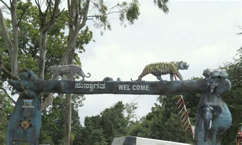 Bandipur Tiger Reserve And National Park September 2023 Timingsticketsreviewstipscontact