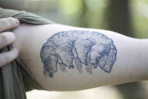 Tardigrade Tattoo Must Get This Tattoos Cool Tattoos Body Art
