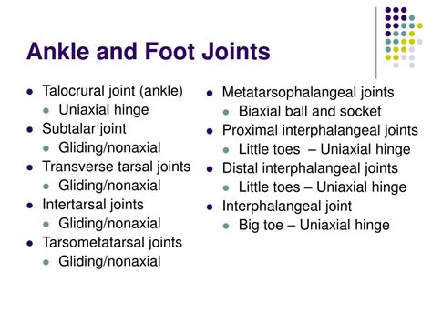 Ppt The Ankle And Foot Joints Powerpoint Presentation Free Download