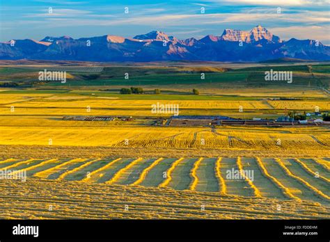 Alberta Foothills Country Stock Photo Alamy