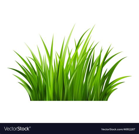 Realistic Green Grass Bushes Of Fresh Greens Vector Image