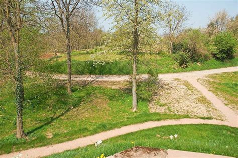 Beim projekt auf zu neuen schafen sammeln kinder und familien innliche erfahrungen mit natur und tieren. Schlosspark und englischer Garten (Hugstetten) - March ...