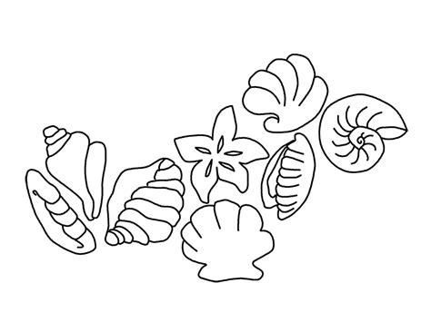 One of the most tedious job today is to secure a seat. Seashell Coloring Pages Printable - Coloring Home