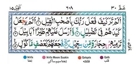 Surah Al Feel Meri Web