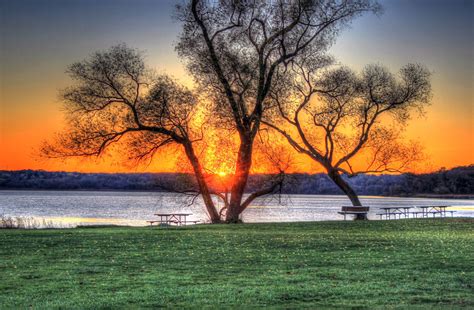 Sunset Behind Trees In Madison Wisconsin Image Free Stock Photo