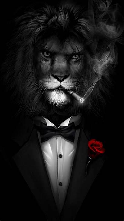 Badass Mafia Lion Wallpapers Cool Suit Very