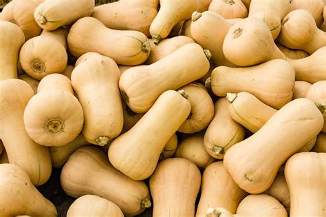 All About Butternut Squash How To Pick Prepare And Store Healthy