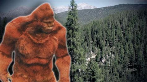Shots Fired At Mammoth Cave Over An Alleged Bigfoot Sighting