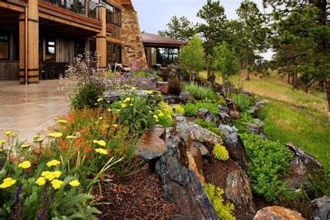 Why Perennials Lifescape Colorado