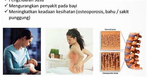 Tahap kesihatan ibu ketika hamil mempengaruhi perkembangan fetus yang dikandungi. ADAT BERPANTANG - Penjagaan Ibu Hamil Sebelum, Semasa ...