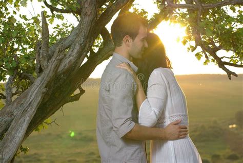 Couple Kissing Under Tree Stock Photo Image Of Couple 35209866