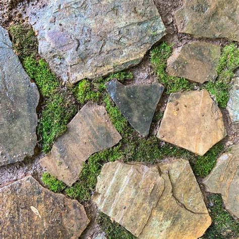 How To Make A Flagstone Walkway In Your Lawn Artsy Pretty Plants