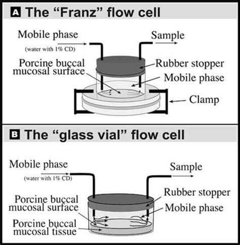 A The Franz Flow Cell Consisting Of A Chamber From A Franz