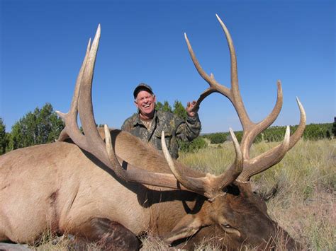 7 Day Bull Elk Hunt For One 1 Hunter On The Zuni Reservation In New