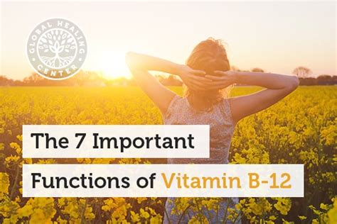 7 Important Functions Of Vitamin B 12