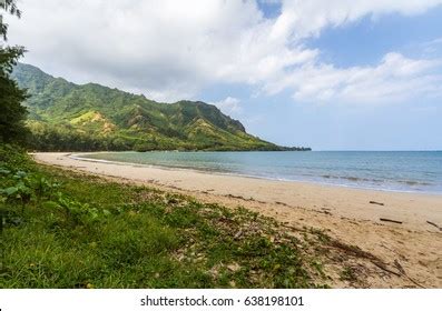 306 Kahana Images Stock Photos Vectors Shutterstock