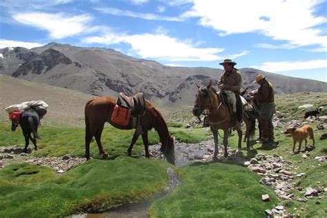 Tour Horseback Expedition To The Andes 5 Days Visit Argentina