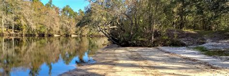 St Marys River Paddling Camping Hiking Florida Hikes