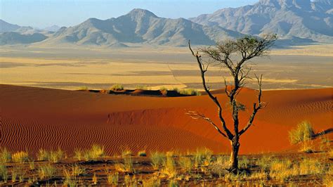 30 Namibia Namib Nature Wallpaper Preview
