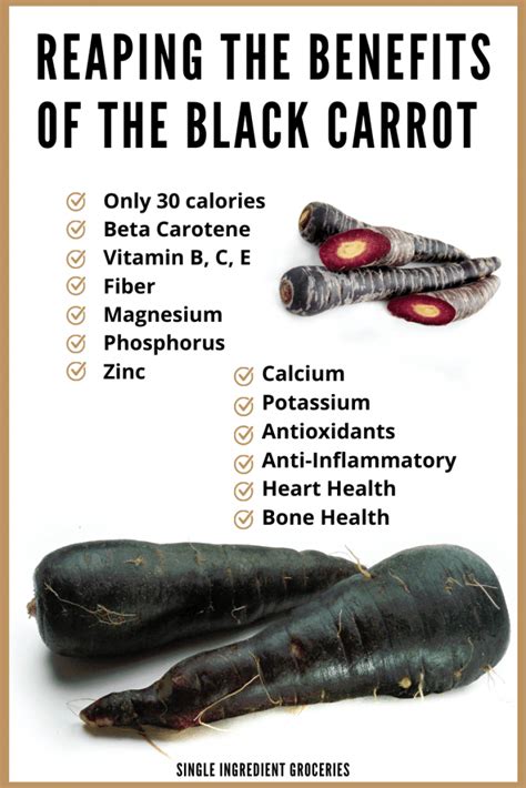 Black Carrot History Uses And Benefits Planthd