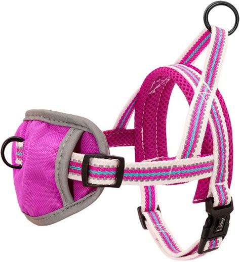 Didog No Pull Dog Harness With Soft Breathable Air Meshquick Fitstep